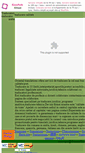 Mobile Screenshot of orientaltranslations.trei.ro